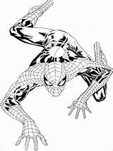 Spiderman Coloring Pages Colouring Printable Template Spider Man Wall Climbing Templates sketch template