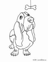 Basset Hound Coloring Dog Pages Perros Dibujos Para Drawing Bassett Colorear Hush Hellokids Puppies Print Board Color Drawings Perro Puppy sketch template