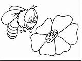 Bee Coloring Bumble Pages Outline Bumblebee Queen Cute Colouring Printable Clipart Wonderland Cliparts Clip Alice Color Lkg Bees Honey Kids sketch template