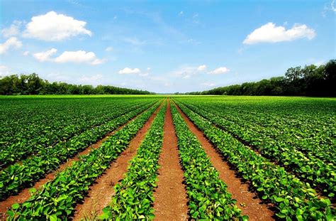 increase farming success   modern farming system
