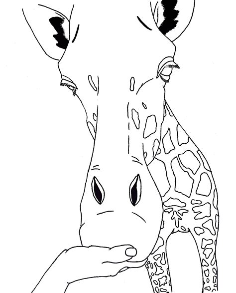 giraffe head drawing  getdrawings