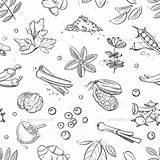 Spices Doodle Pattern Herbs Spice Hand Drawing Drawn Vector Seamless Fresh Paintingvalley Illustration Drawings Thehungryjpeg sketch template