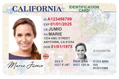 Ai Powered Id And Identity Verification For The United States Free