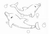 Dolphin Hello sketch template