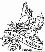 Coloring Pages Cardinal Carolina North Popular sketch template