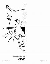 Symmetry Cougar Worksheeto Funnycrafts sketch template