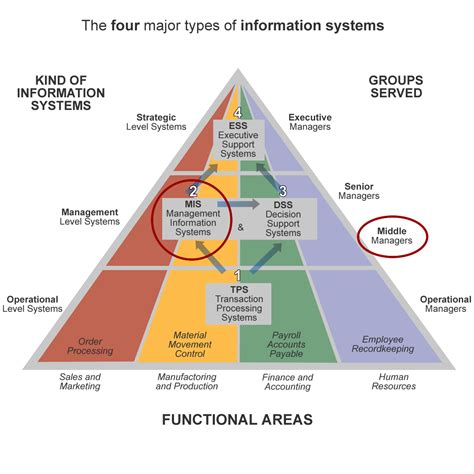 management information systems mis devu