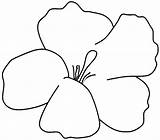 Coloring Hibiscus Printable Pages Flowers Flower Outline Popular Coloringhome sketch template