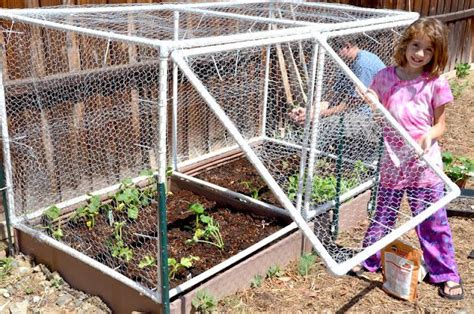 grated square foot garden hinged door cage vegetable garden