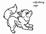 Coloring Wolf Baby Pages Print sketch template