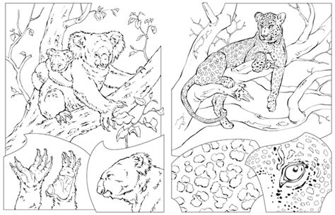 printable coloring pages  national geographic kids