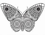 Papillon Colorier Artherapie Acolorier Insecte Insectes Coloriages Insects Buterfly Greatestcoloringbook Galet Lumineuse sketch template