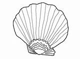Coloring Seashell Shells Pages Shell Sea Printable Seashells Beach Grass Kids Oyster Drawing Color Print Template Colouring Drawings Clipart Getdrawings sketch template