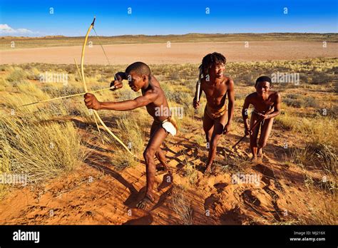 bushmen of the san people hunting kalahari or kgalagadi transfrontier