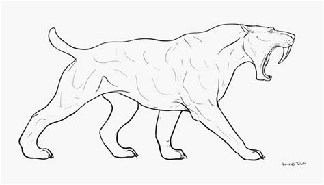 draw  saber tooth tiger  transparent clipart clipartkey
