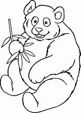 Bear Panda Coloring Pages sketch template