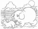 Coloring Farm Pages Animal Pig Students K5 Via sketch template