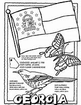 Georgia Coloring Pages Crayola State Sheets Flag Color Symbols Printable Kindergarten Kids States Print Social Book Atlanta Bird Studies Brown sketch template