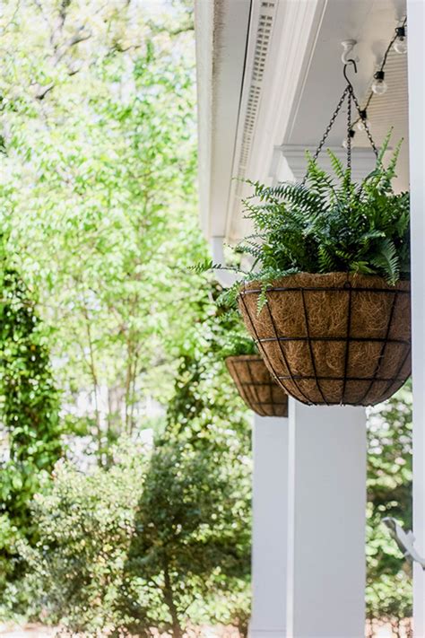 incredible home patio design   hanging plants ideas hanging plants porch plants