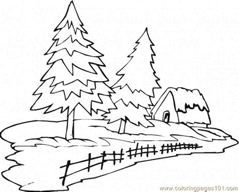 coloring pages pine tree  natural world trees  printable