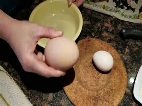 egg   egg