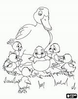 Eendje Lelijke Tekeningen Vogel sketch template