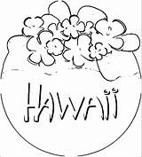Coloring Flower Hawaii Comments sketch template
