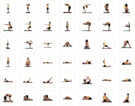 bikram yoga bikram yoga bikram yoga poses yoga poses