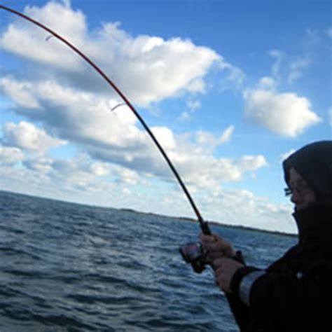 sea fishing     hubpages