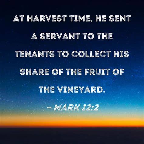 mark   harvest time    servant   tenants  collect