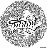 Mandala Tigre Coloriage Lesya Adamchuk Animaux Imprimé sketch template