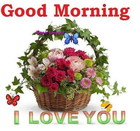 Floral Rose Basket Good Morning I Love You Image Pictures Photos