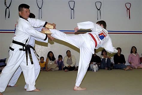 discover  martial art  suits  personality