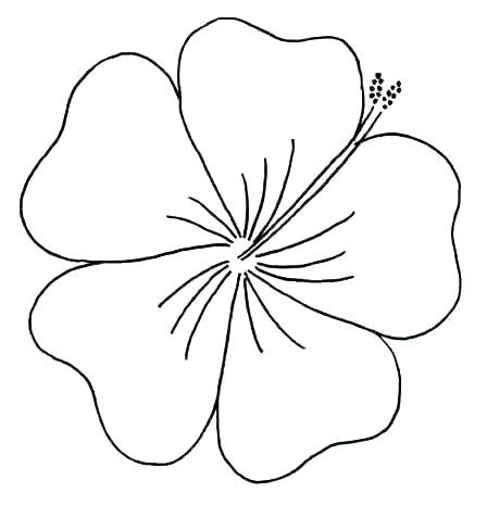 hawaiian flower coloring page  getcoloringscom  printable