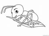 Ants Coloring4free sketch template