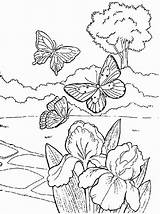 Primavara Colorat Planse Desene Plansedecolorat Mariposas sketch template