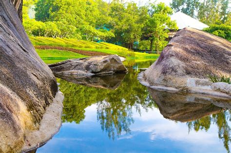 49 Populer Gambar Pemandangan Yang Indah Termasuk Aliran Seni Rupa Riset