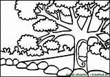 Coloring Background Pages Colouring Tree Big Set Treehut Sharma Swati sketch template
