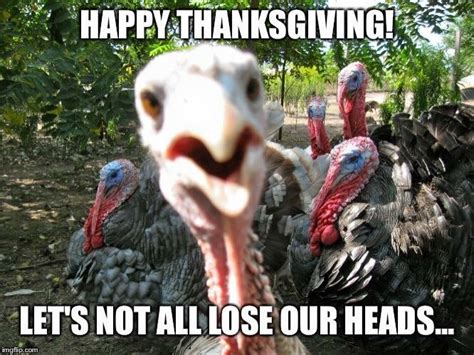 turkey memes funny drbeckmann