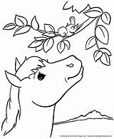 Horse Coloring Pages Country Farm Printable Kids Honkingdonkey sketch template