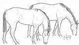 Grazing Horses Coloring Comments sketch template