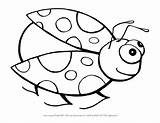 Ladybug Coloring Pages Cute Ladybird Bug Colouring Drawing Color Printable Kids Cartoon Getcolorings Getdrawings Lady Print Miraculous Colorings Fresh sketch template