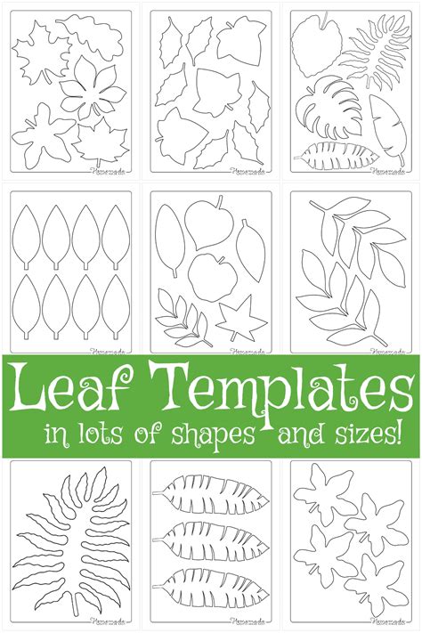 printable leaves beautiful designs  crafts  decor