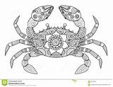 Crab Zentangle Animal Adulto Disegnato Granchio Mandalas sketch template