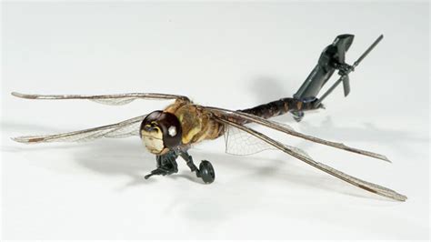 insect drones      buzz youtube