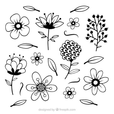 vector flowers collection  stem  hand drawn style
