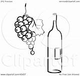 Grapes Bottle Wine Coloring Pages Template sketch template