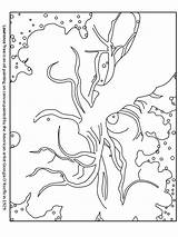 Coloring Pages Tree Usa Lawrence Okeeffe Colouring Georgia Keeffe States United Map Coloringpagebook Ws Book Children Print Related Printable sketch template