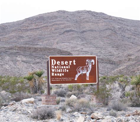 protecting  desert refuge   national wildlife refuge system