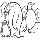 Coloring Pages Penguin Penguins Cartoon Printable Antarctica Family Illustrator Book sketch template